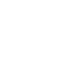 Mission Icon